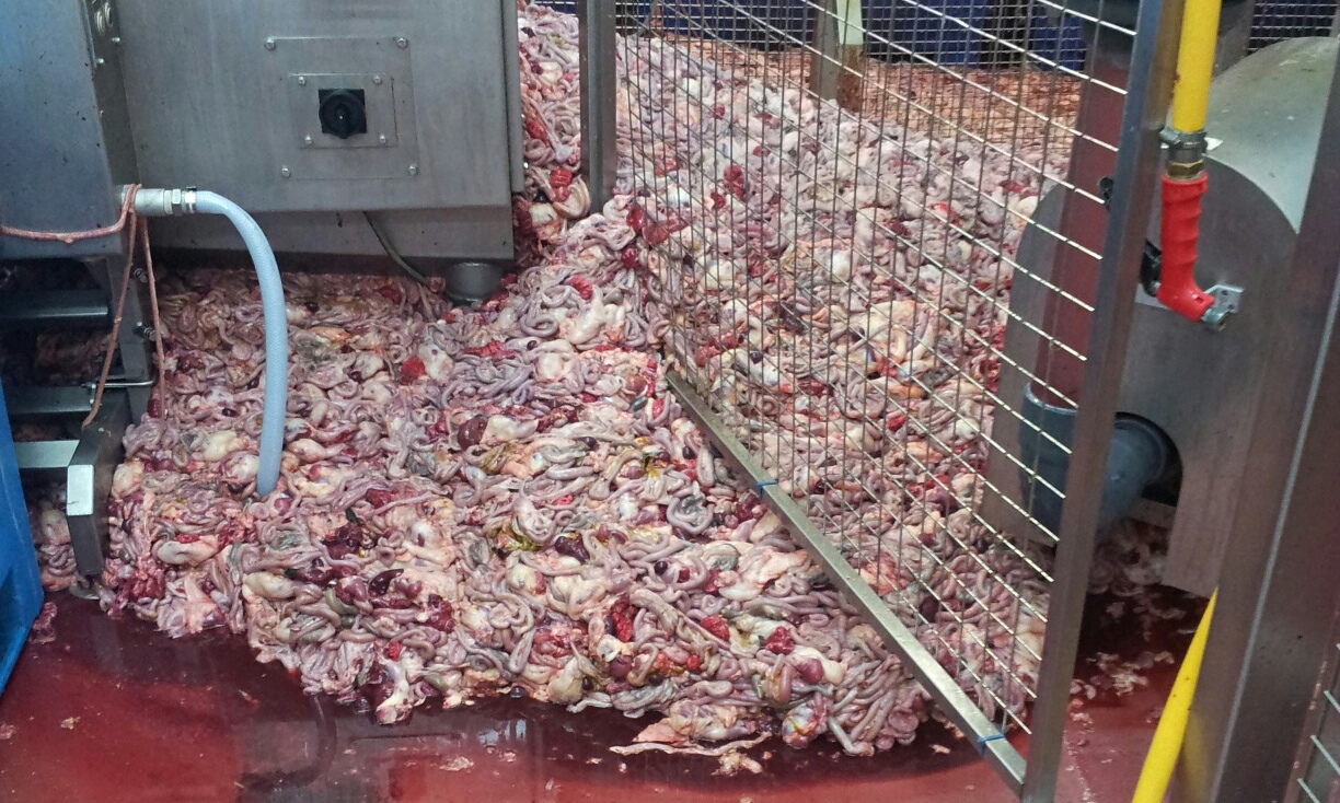 It’s a scandal that profits come before food safety | @guardianletters It’s a scandal that profits come before food safety | @guardianletters