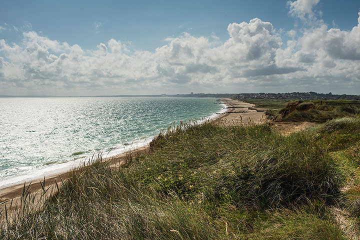 National Trust Hawthorne: National Trust: Hengistbury Head, Dorset