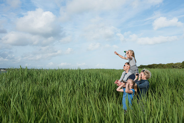 National Trust Hawthorne: National Trust: the Hawthorne family in tall grass near Hengistbury Head