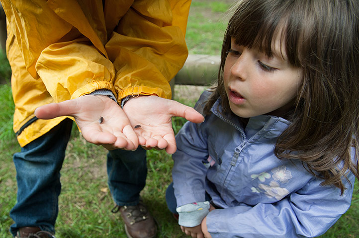 National Trust Loulli: National Trust: Elena Loulli takes a closer look at some woodlice