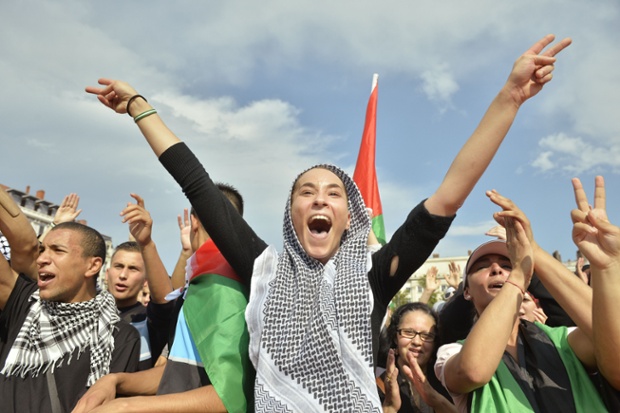 Demonstrations against Gaza/Israel conflict were held in many french cities, including Lyon. 
