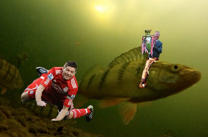 Steven Gerrard gallery: Steven Gerrard gallery