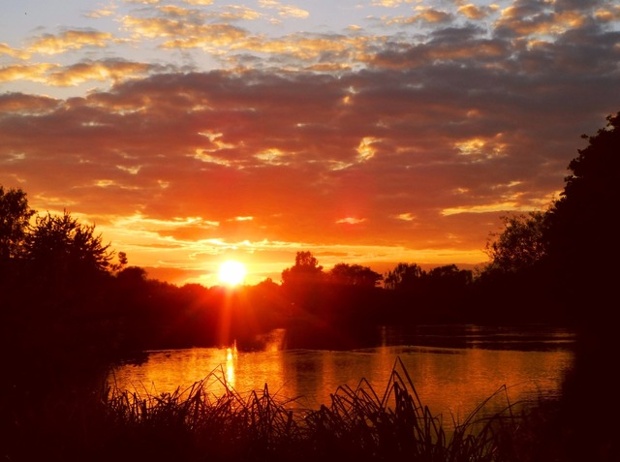 Sunset over the Thames by Iffley Fields. 