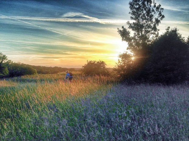 A cycle at sundown in Kent, England.