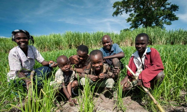 African farmer family