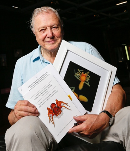 Species named after Sir David Attenborough  : Sir David Attenborough with a photograph of the 