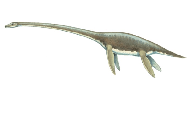 Species named after Sir David Attenborough  Attenborosaurus conybeari This dinosaur lived in Europe during the Sinemurian stage of the early Jurassic.