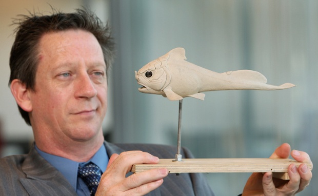 Dr John Long of Museum Victoria in Melbourne holds a model of a placoderm fish fossil that was was found in the Gogo area of north-west Western Australia and was named Materpiscis attenboroughi.