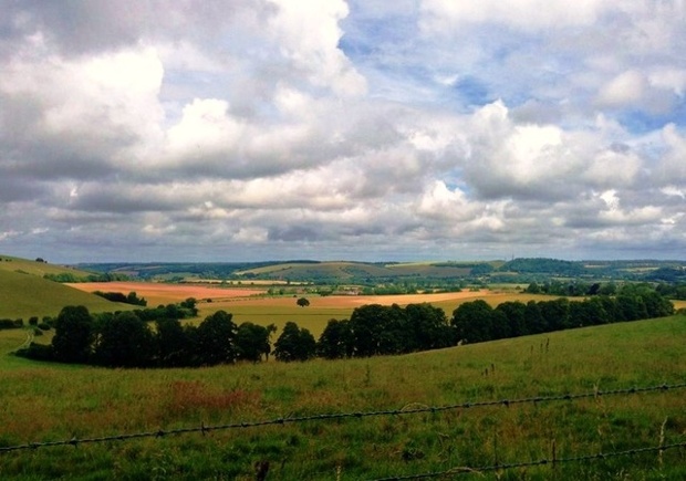 'The Bike Ride: Great countryside of the South Downs National Park.'