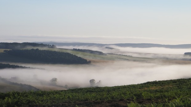 'Mist over Glendale.'