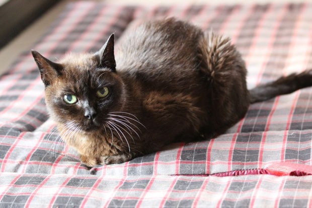 'Benny, aged 19 years.'