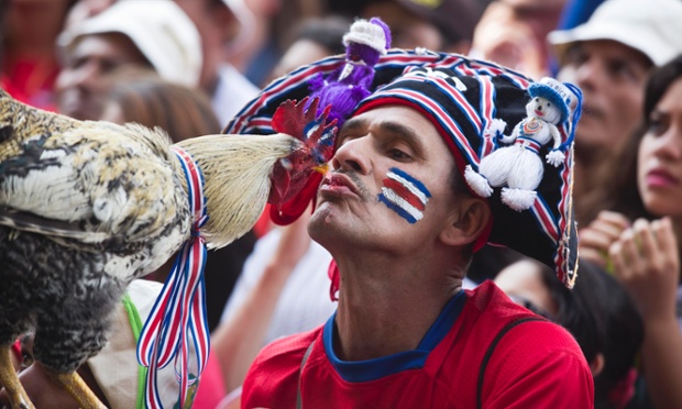 San Jose, Costa Rica: A Costa Rica football fan feeds his pet rooster with his mouth while watching the World Cup quarterfinals match between Costa Rica and The Netherlands.