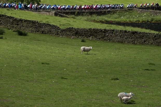 Leeds, UK: The first stage of the Tour de France cycling race running between Leeds and Harrogate.