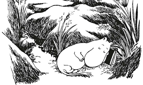 Finn Family Moomintrol