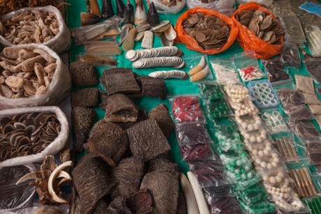 Items seen for sale include the various body parts from endangered species such as; elephant, tiger, bear, pangolin, porcupine, monkey, flying squirrel, masked palm civet cat, deer, mountain cat, fox, crocodile, different types of tropical birds and shark.