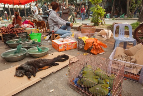 A giant flying squirrel and green pigeons are seen for sale as bush meat at a covered market in the town of MongLa, Shan State Special Region Four, Burma