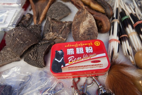 Bear bile (C), bear gall bladder (top) and elephant skin (L) is seen for sale at an outdoor market catering to Chinese tourists, just yards from the Chinese official border post, in Daluo, the border town with Burma, Xishuangbanna, Yunnan Province, China