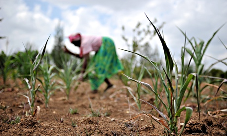 Rural farmer