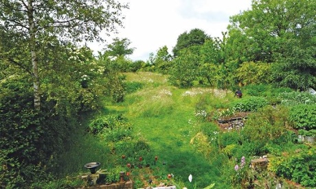 Live Better: Maddy Harland Permaculture Garden After