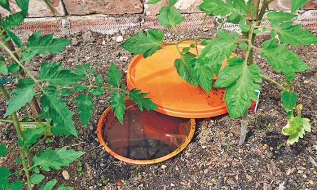 Live Better: Maddy Harland Permaculture Ollas