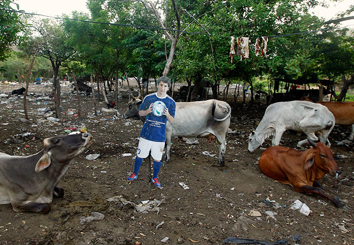weird sport: A cardboard cutout of Messi is seen near cattle at a farm in Managua