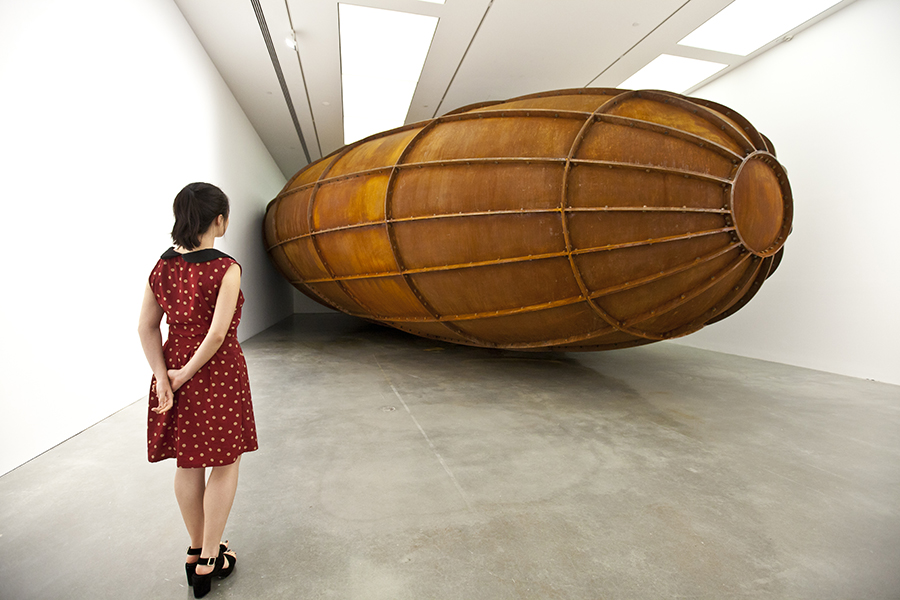 DC Anish Kapoor Memory