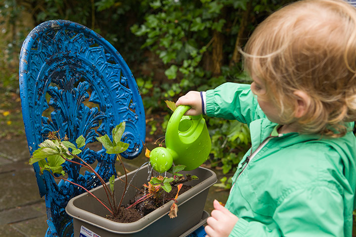 National Trust Hargreaves: National Trust: George Hargreaves waters a new pot plant