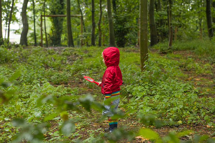 National Trust Hargreaves: National Trust: George in Tatton Park looking for bugs