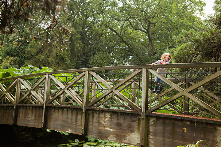 National Trust Hargreaves: National Trust: George monitoring the progress of his stick down the river