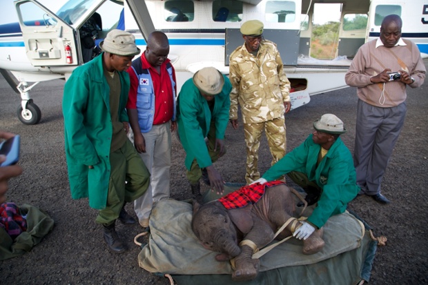 ... by stretcher so it can loaded onto the aircraft and taken to The DSWT