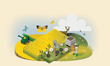 Unilever: illustration by Nils-Petter Ekwall