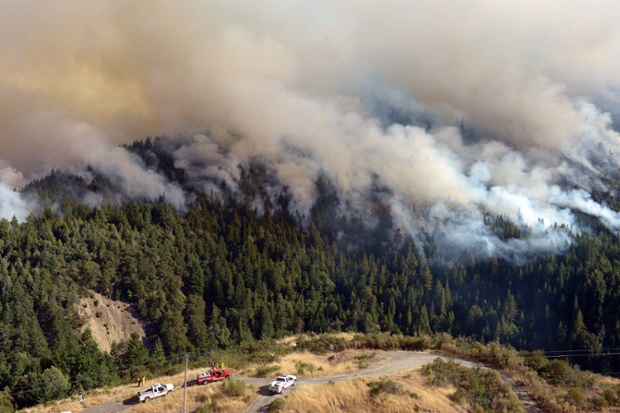 Fire crews view the Lodge Fire, started by lightning strikes on 30 July in California