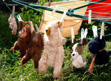 'cuddlies online: my daughter's cuddlies after a much needed wash today. she moved away several years ago and we're reclaiming her old bedroom!'