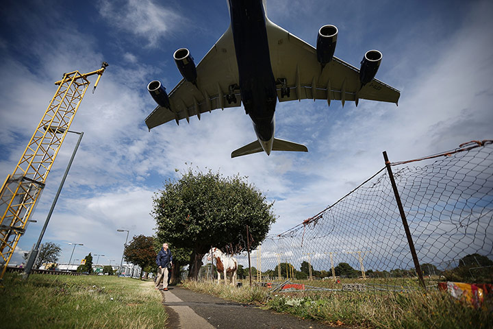 20 PHOTOS: A passenger plane comes into land over a field with horses at Heathrow