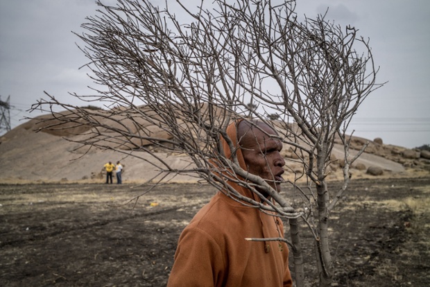A miner carries a branch of tree in front of the hill at Marikana, where striking miners were gunned down by the South African police