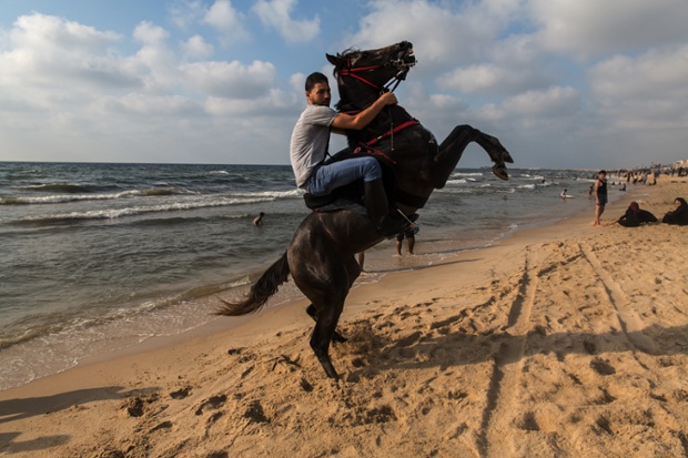 Local residents spend time on the beach with their horses, in Gaza.