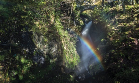 Aira rainbow