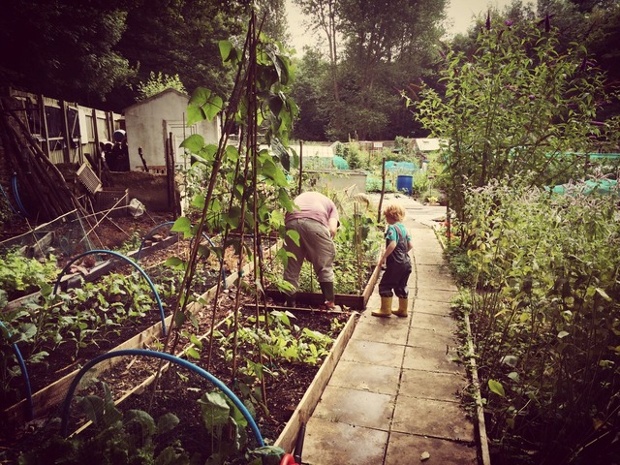 Jesmond Dene Allotments, Newcastle