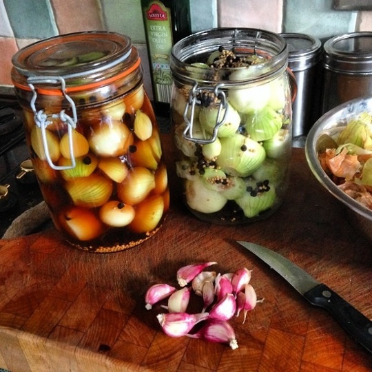 Shallots from an allotment in Lye in the West Midlands
