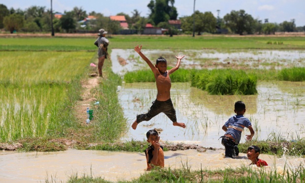 Boys play at a canal of a rice paddy field on the outskirts of Phnom Penh
