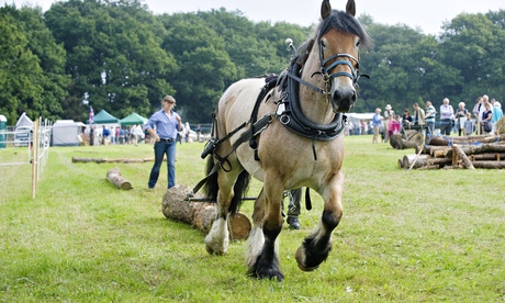 The National Forest Wood Fair