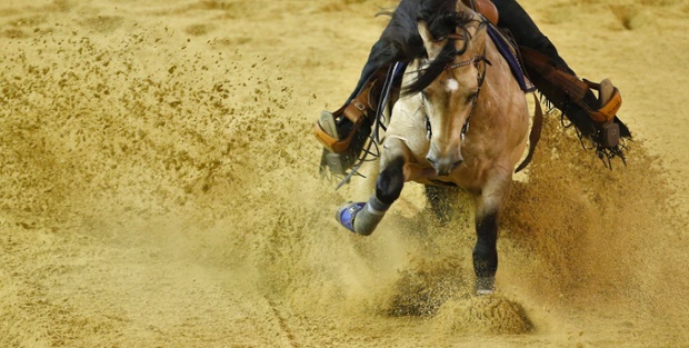 Brazilian horse Steppin Off Sparks competes in the World Equestrian Games 2014 in Caen, France