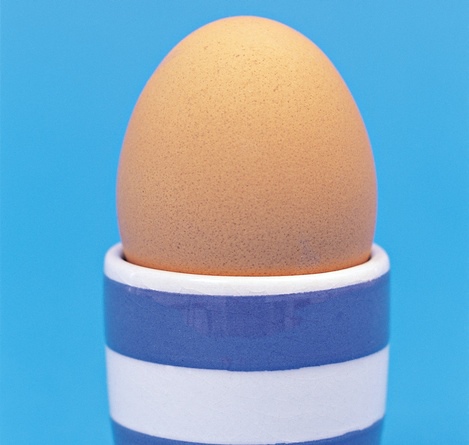 an egg in an egg cup