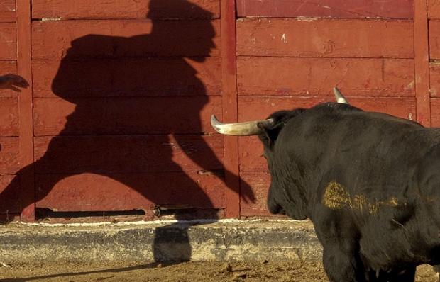A participant's shadow is cast against the bullring wall as a Castillejo de Huebralooks on during the first bull run of the San Sebastian de los Reyes Festival, near Madrid