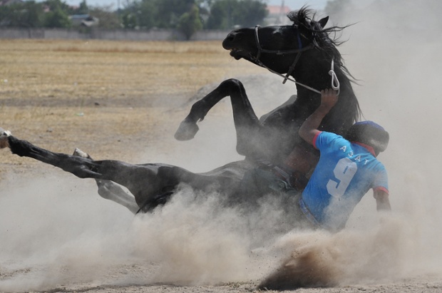 A rider falls off a horse as he plays the traditional sport of Buzkashi – or goat bashing – in Bishkek, Kyrgyzstan