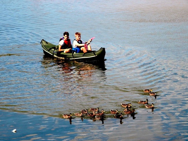 'congestion in wells next the sea harbour: sunday august 3, late afternoon.'