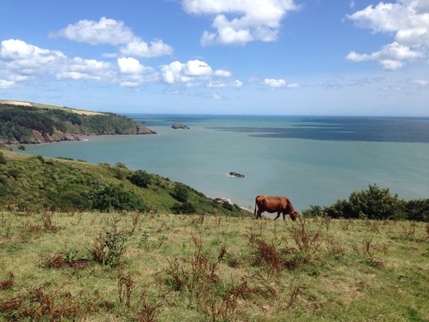 'View from coastal path near Little Dartmouth, Devon: Bursting with happiness with all this sunshine and fresh air, what a View.'