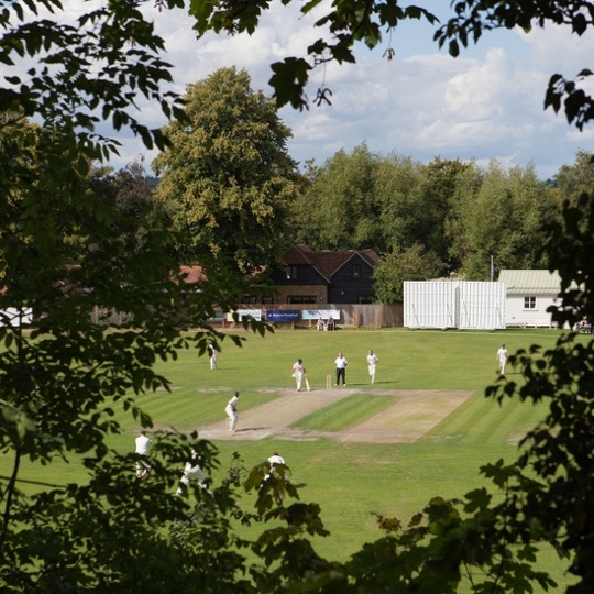 'A Leafy Window on an English game of cricket: Taken in Henley-on-Thames on 23rd August.'