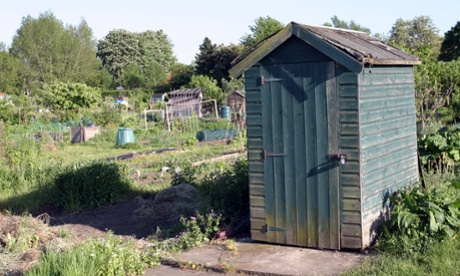 Garden shed on allotment