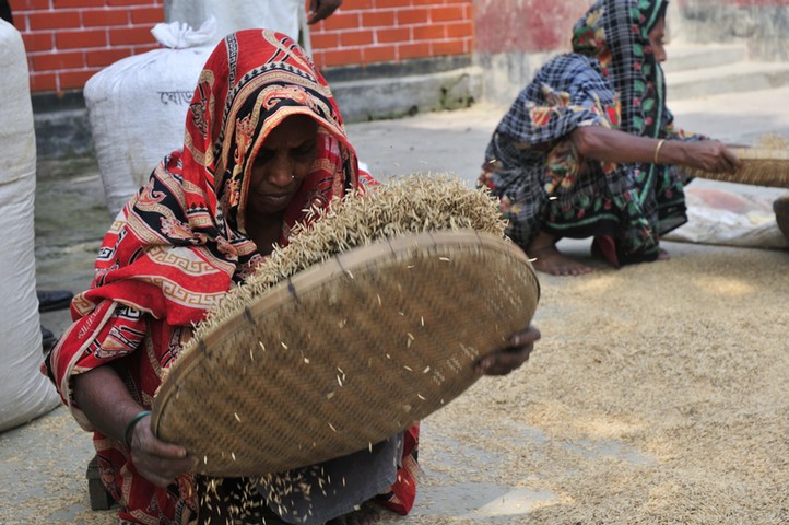 Food fortification: Woman, Bangladesh